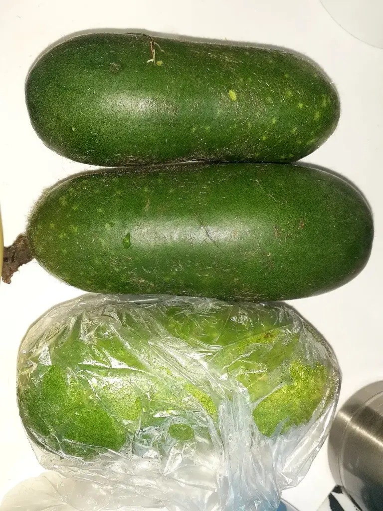 Hairy Gourd